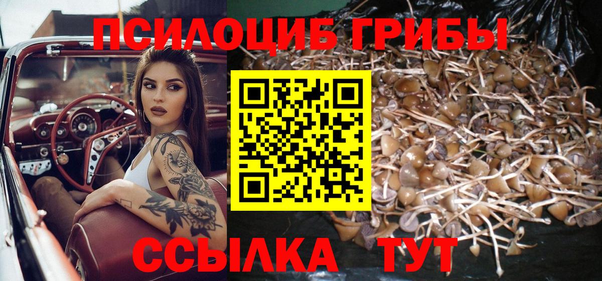 Псилоцибиновые грибы мухоморы  Псилоцибиновые грибы Cubensis  Вход с VPN  Камышлов 